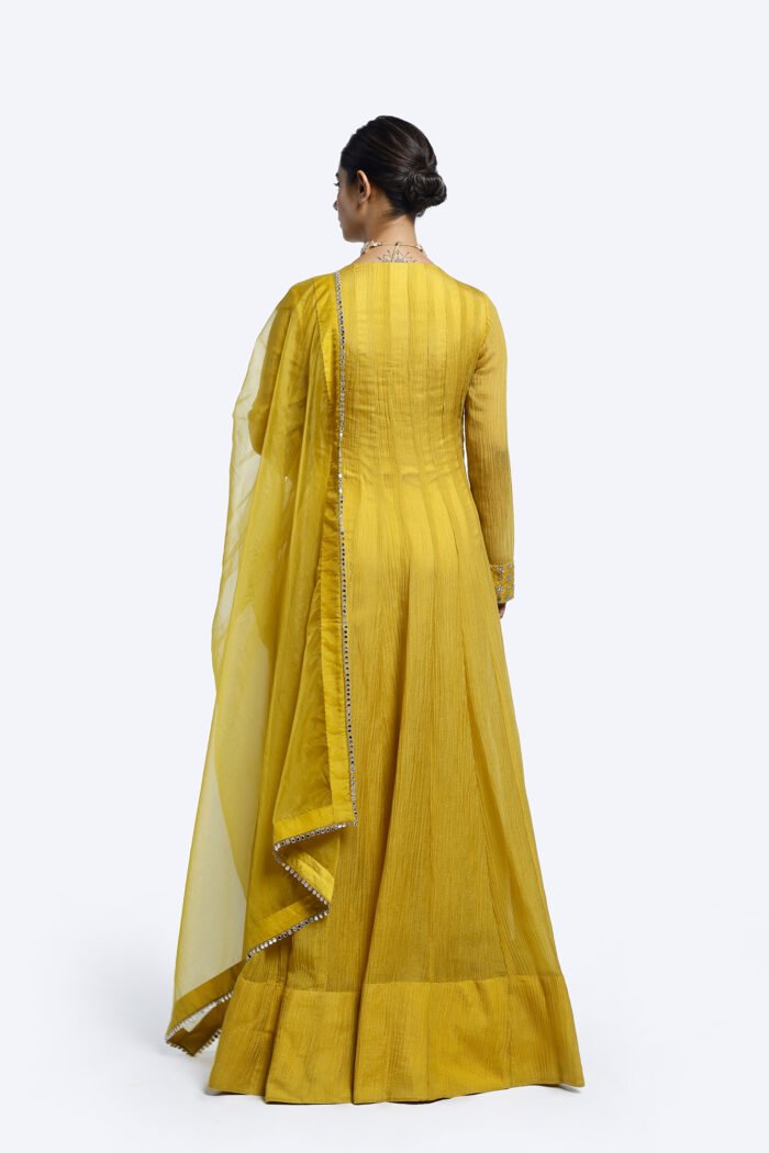 Organza Crush Suit Set