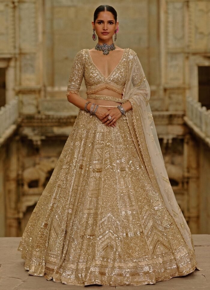 Gold Soft Net Lehenga Set